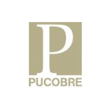 alianza_0019_Pucobre